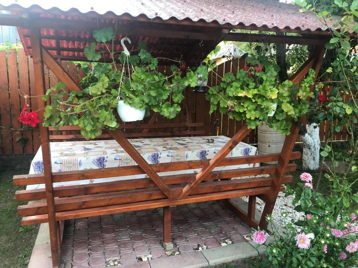 Casa Todea Hotel Cimpeni Exterior photo